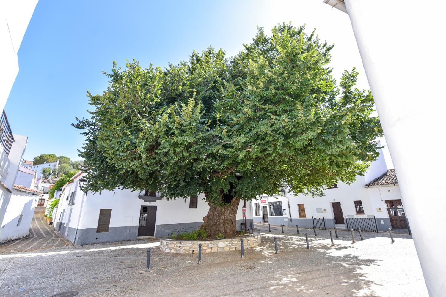 Cortelazor El Rincon De Marcelinoゲストハウス エクステリア 写真